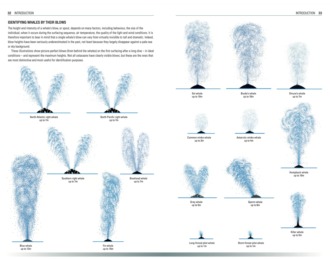 Handbook of Whales, Dolphins and Porpoises